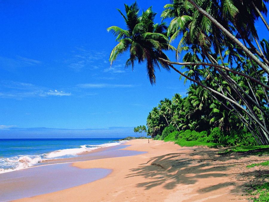 Goa-beach-Palolem